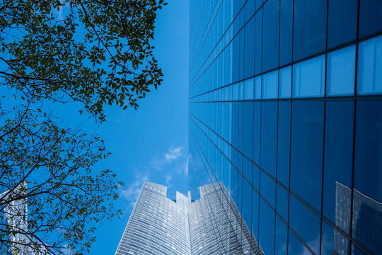 Tree silhouettes beside modern glass skyscraper architecture under sky in Paris La Defense financial district showing urban nature balance