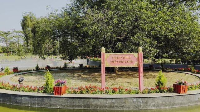 The historic Osho Tree in Jabalpur, India, where spiritual teacher Osho (Bhagwan Rajneesh) is believed to have attained enlightenment, standing in a landscaped park surrounded by greenery.