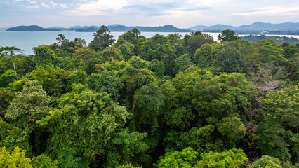 Fototapeta premium Aerial jungle nature mountain landscape Phuket southern Thailand