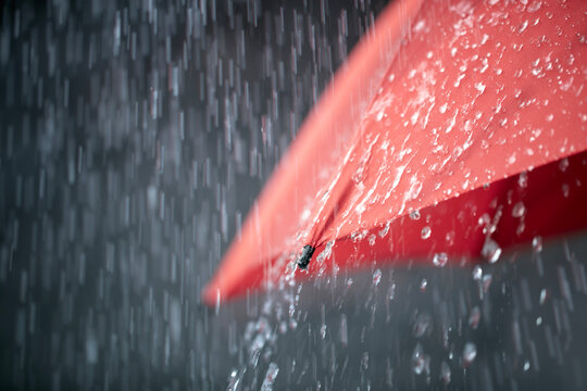 Rain on red umbrella background, weather forecast and environment concept