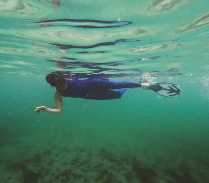 Woman in summer wetsuit snorkelling and floating in ocean