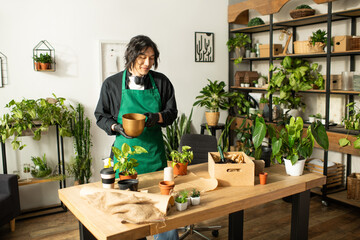 Fototapeta premium Young Asian florist engaging with plants in a cozy flower shop filled with greenery
