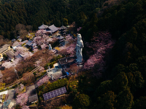 Aerial view of a serene statue standing amidst a sea of delicate cherry blossoms, contrasting against the dark, Earthen rooftops peek through the trees, Gao Qu Ting , Nai Liang Xian , Japan.