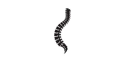 Obraz premium Human spine silhouette collection featuring vertebral column anatomy with pelvis from multiple views including lateral posterior and anterior for medical education