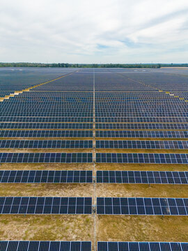 Aerial view of rows and rows of solar panels creating a stark geometric pattern against the light earth, Jasper, Florida, United States.