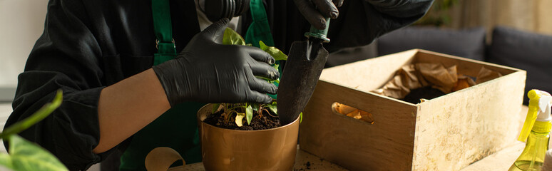Young florist tending to plants in a cozy workspace filled with greenery