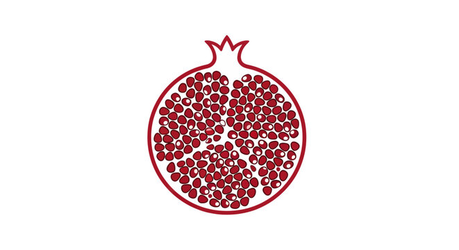 Pomegranate Fruit Illustration Red Seeds.