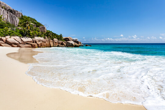 tropical beach with palm trees