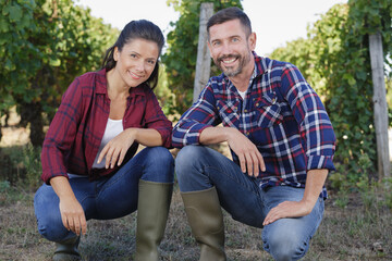 Naklejka premium young couple in the vineyard