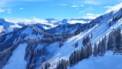 Aerial view of snowy alpine mountains with clouds and pine forest, winter landscape with blue sky...