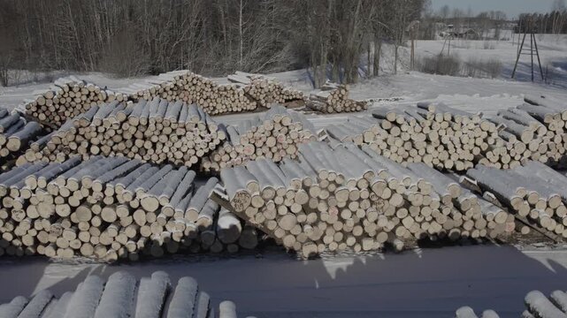 Large stacks of cut timber logs covered in snow in a rural winter setting, with trees and open land in the background. Cold seasonal forestry scene with natural textures and patterns
