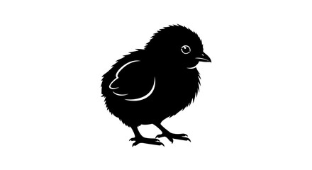 Easter Vector black chick illustration isolated on White Background vector © MdAbdul