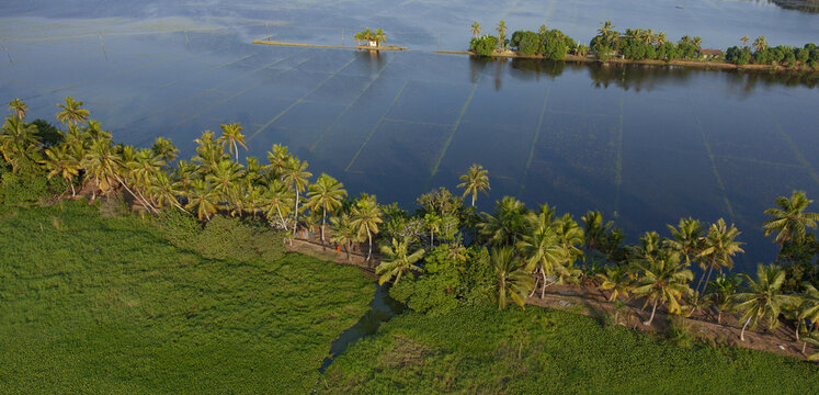 Aerial view of the tranquil backwaters reflects the sky as palm trees line the shore near a small building, Alappuzha, Kerala, India.
