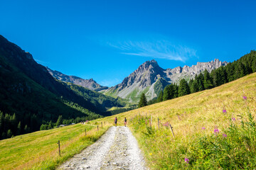 Hikers on alpine trail near Les Contamines Montjoie France © daboost
