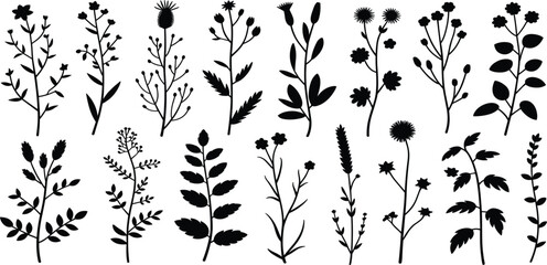 Black and White Silhouettes of Various Wild and Garden Plants and Flowers botanical nature © MdAbdul