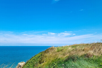 Tranquil Coastal Landscape with Blue Sky and Grassy Cliffs