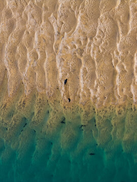 Aerial view of the meeting point of golden sand and turquoise water, revealing the textures of the shore, Westfjords, Iceland