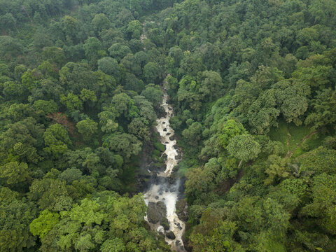 Aerial view of the cascading waterfall slicing through a dense forest canopy, a vibrant ribbon of white against the deep greens, Curugsewu, Central Java, Indonesia.