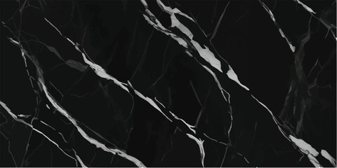 Abstract dark background with intricate, branching white lines resembling cracks or veins, offering a unique texture for graphic design and artistic compositions