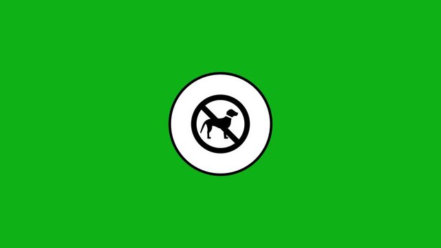 No dogs allowed sign animation on green screen background for digital motion graphic usage