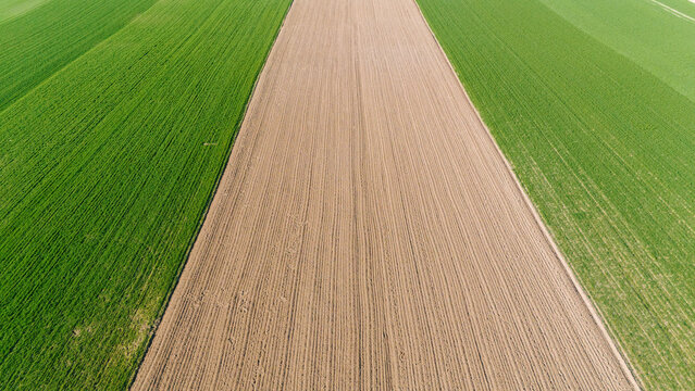 Aerial view of parallel fields showcasing vibrant green crops juxtaposed with earthy brown soil, creating a textured landscape pattern, Sremska Mitrovica, Vojvodina, Serbia.