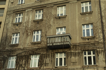 Naklejka premium Aged apartment facade with overgrown vines, small iron balcony, peeling paint, square grid windows, lateafternoon shadow,