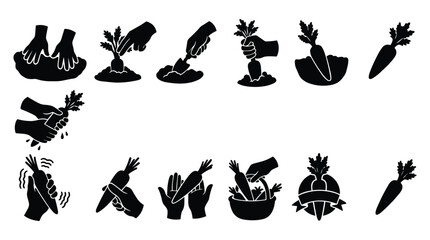 Obraz premium Harvesting carrots from garden soil with hands and gardening tools set