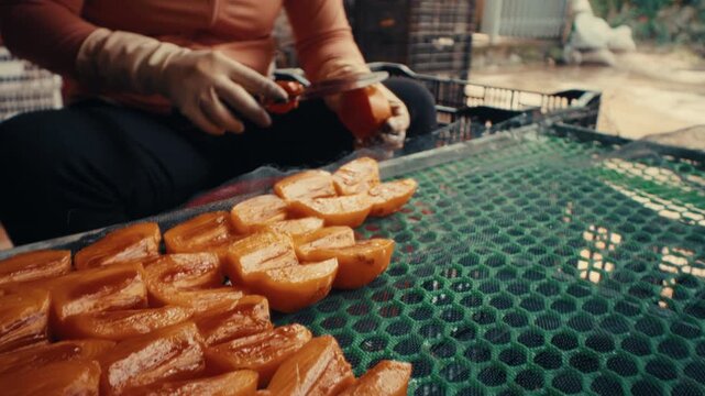 Workers slicing large quantities of fresh persimmon fruit for the traditional drying process