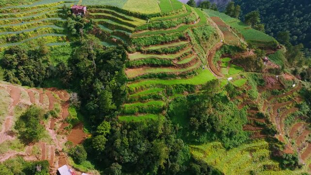 Mountain farming terraces Halsema Highroad Second Highest Point Philippines