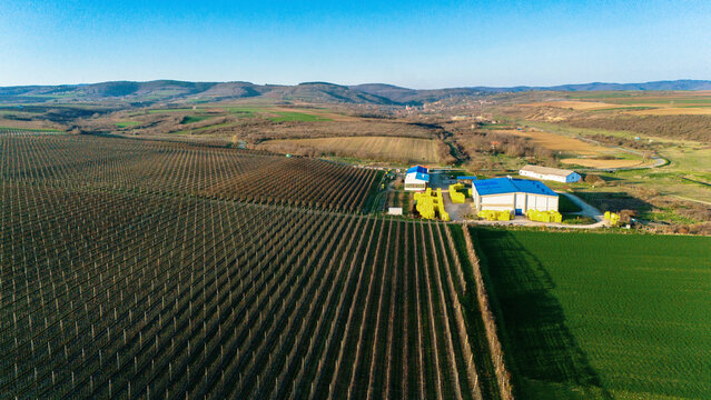 Aerial view of rows of crops stretch towards a modern building with a blue roof, nestled among fields and distant hills, Jazak, Vojvodina, Serbia.