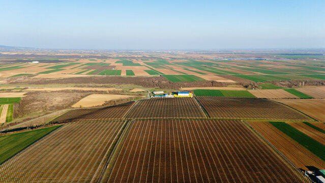 Aerial view of a patchwork of fields in earthy browns and vibrant greens, stretching towards the horizon under a clear sky, Jazak, Vojvodina, Serbia.