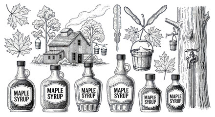 Maple Syrup Production: Vintage Illustration of Sugar Shack, Trees, Barrels, and Bottles © rokok