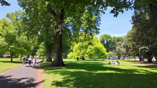 People relaxing and walking in Treasury Gardens, Melbourne, Australia, surrounded by large trees and open green lawns. A vibrant urban park showing outdoor leisure and liveable city life