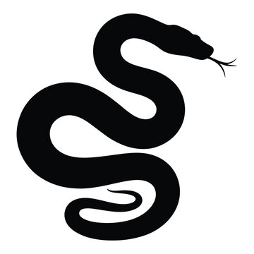 Python slithering side view Vector, Silhouette, Illustration