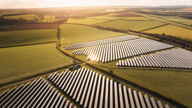 Aerial view of solar panels glinting in the soft sunlight, contrasting against the patchwork of green and gold fields, Blandford Forum, Dorset, United Kingdom.