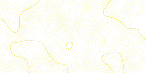 Fototapeta premium Topographic map background concept. Topo contour map. Rendering abstract illustration. White background topo
