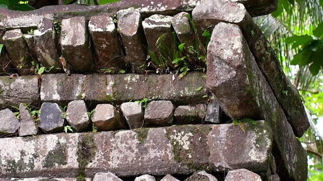 Micronesia Nan Madol Pohnpei Jungle Ancient Ruins Megalithic Lost City Oceania Pacific Camera 4K