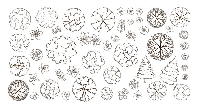 Tree and Flower Top View Outline Vector Collection &ndash; Brown Foliage Patterns for Architectural Landscape Plans