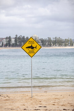 Beach Closed - Shark Sighted sign standing on foreground at the beach