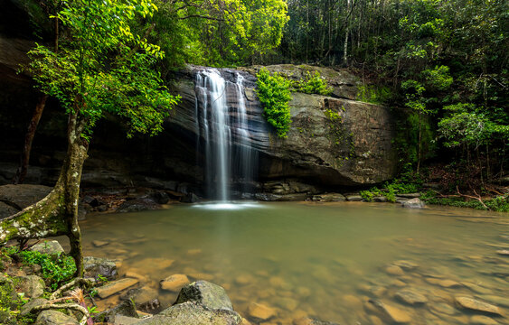 Small waterfall over large rock in green rainforest with pond and brown rocks
