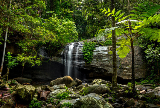 Small waterfall amongst rainforest plants and surrounded by rocks and boulders
