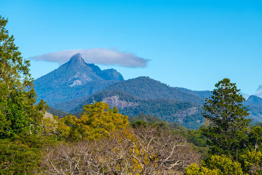 View of Wollumbin (Mount Warning) near Murwillumbah, northern New South Wales