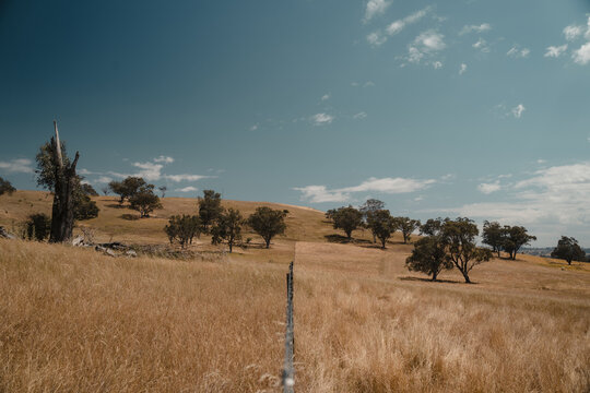 Long wire fence stretching across a dry rural landscape