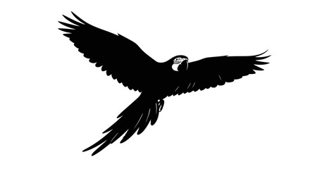 Obraz premium Black parrot silhouette in flight against a white background
