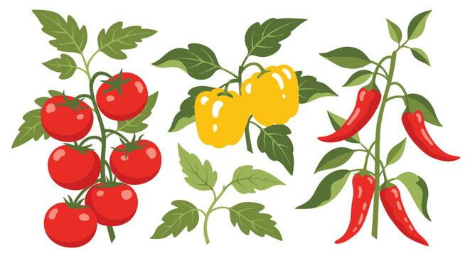 Fresh garden vegetables: tomatoes, bell peppers, and chili peppers on branches.