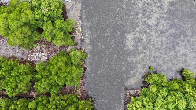 Micronesia Pohnpei Nan Madol Ancient Ruins Lost City Oceania Pacific Aerial Drone 4K