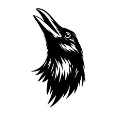 Dibujo sencillo con líneas de la cabeza de un cuervo con el pico abierto hacia arriba  © teracreonte