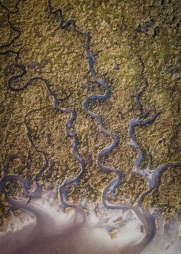 Aerial view of a sinuous river cutting through a landscape of contrasting gold and green, flowing towards the sandy coast, Dublin, County Dublin, Ireland.