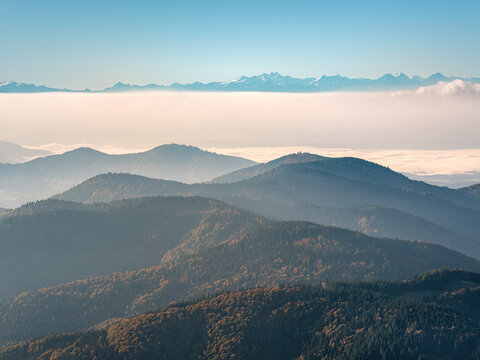 Dawn in the Black Forest, Germany, view from the Belchen Mountain over a Sea of Fog to the Swiss Alps
