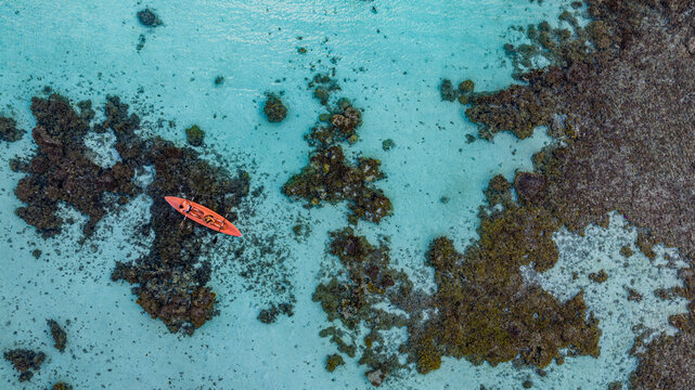 Man kayaking on turquoise lagoon near coral reef Fakarava aerial